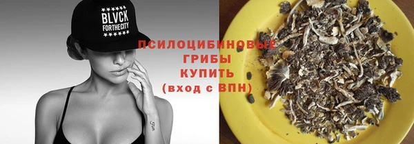 ГАЛЛЮЦИНОГЕННЫЕ ГРИБЫ Алзамай