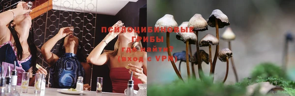 хмурый Алексеевка