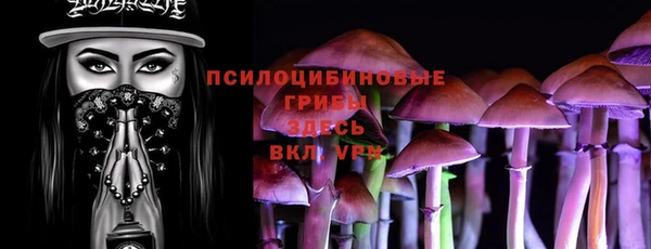 экстази Алексин