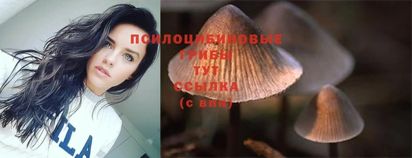 ГАЛЛЮЦИНОГЕННЫЕ ГРИБЫ Алзамай